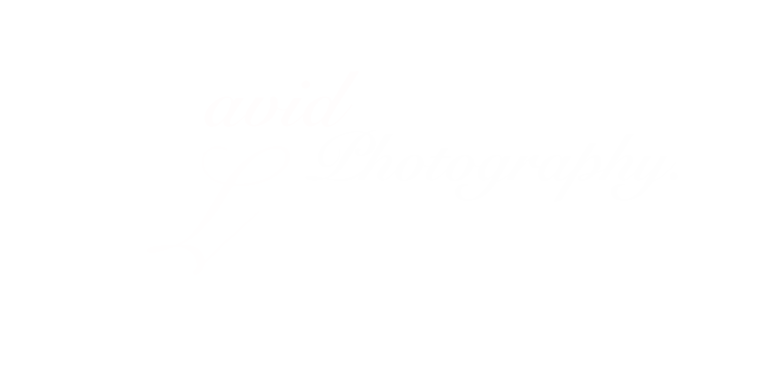 David & Luciana Photography